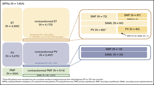Disease transformation among the analyzed patients with MPNs.