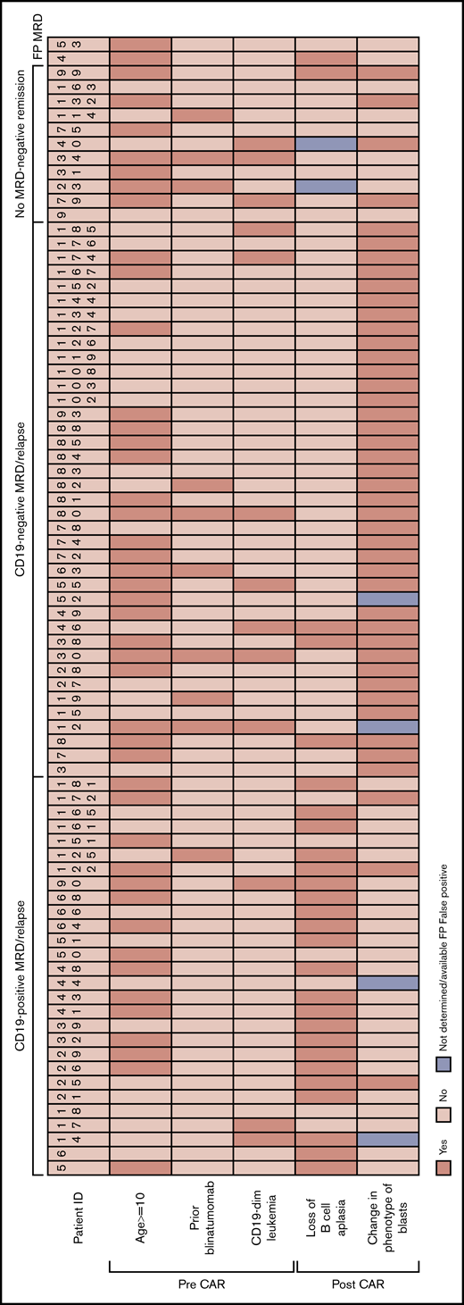 Clinicopathological characteristics of the CD19+MRD/relapse, CD19–MRD/relapse, and no-MRD–-remission categories after CAR T-cell therapy. Age, prior blinatumomab treatment, and CD19 expression levels on blasts, before CAR T-cell infusion are shown. HP-4 and H-53 had false-positive MRD at day 28 assessment and remained in remission without further therapy at data cutoff.