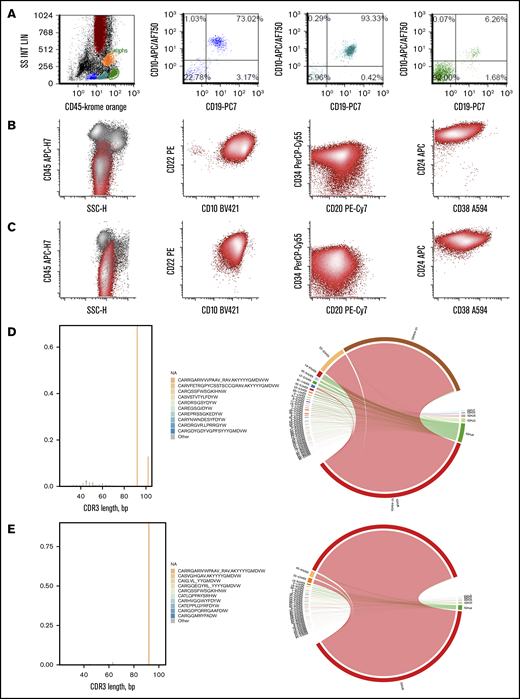 Immunophenotypic and clonotypic comparison of representative CD19+MRD/relapse. (A) Early reappearance of normal hematogones in the bone marrow at 3 months after infusion in HP-181 who subsequently developed CD19+ MRD. Normal maturation pattern of B cells with progressive acquisition of CD45 and CD19 and decrease in CD10 as they mature from stage 1 (blue) to stage 2 (teal) to stage 3 (green) hematogones.31 Other markers such as CD34, CD24, CD22, and CD20 (not shown) were also consistent with normal maturation pattern. Events in green also include mature T cells (CD19– events). Pre-CAR blasts (B) and 12-month post-CAR blasts (C) from HP-6 with identical CD45 dim variable; CD22+,CD10+,CD34 dim variable; CD20 variable; CD24 bright; and CD38 dim phenotype. Immune repertoire analysis showed identical CDR3 sequences (CARRGARIVVVPAAV_RAVAKYYYYGMDVW) and identical variable region (V) joining region (J) family usage (V4-31 J6) in pre-CAR blasts (D) and 12-month post-CAR blasts (E) from HP-51.