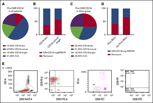 CAR T cells are effective for CD19-dim B-ALL, but there is a higher rate of failure to achieve MRD–remission and CD19–MRD/relapse in blinatumomab-pretreated patients. (A) Distribution of CD19 expression before CAR T-cell therapy in all patients (n = 166). (B) Proportion of remission and NR/CD19-negMRD/R among the CD19-normal/bright and CD19-dim B-ALL cases. (C) Distribution of CD19 expression among the patients previously treated with blinatumomab (blina group; n = 16). (D) Proportion of remission and NR/CD19− MRD/R among patients stratified by prior blinatumomab therapy. (E) Flow cytometric data from HP-12 at relapse (2 plots on the left) and postblinatumomab pre-CAR (2 plots on the right) time points show loss of CD19 expression after blinatumomab.