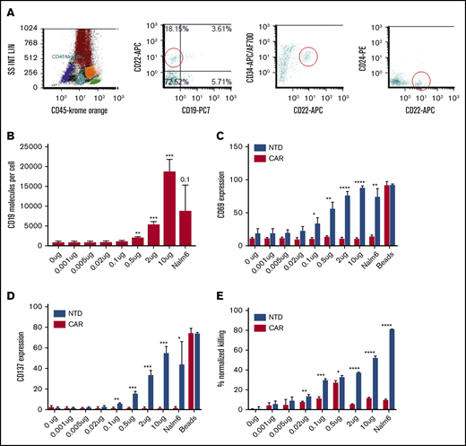 CAR T cells recognize very low levels of CD19. (A) Expanded populations of CD19– precursors (also CD22+CD24–CD10 variable CD34 variable) that are seen after CAR T-cell therapy. (B) Flow cytometric estimation of CD19 expression (antigen-binding capacity) in CD19– K562 cells transduced with increasing doses of CD19 mRNA (n = 3). (C) Significant CD69 expression in CAR T cells at 0.005 μg CD19 mRNA (n = 3). (D) Significant CD137 expression at 0.1 μg CD19 mRNA (n = 3). (E) Significant killing by CAR (19-BBz CAR construct transduced) at 0.02 μg CD19 mRNA at a 10:1 effector-to-target ratio (n = 3). Student t test; *P < .05, **P < .01, ***P < .001, and ****P < .0001.