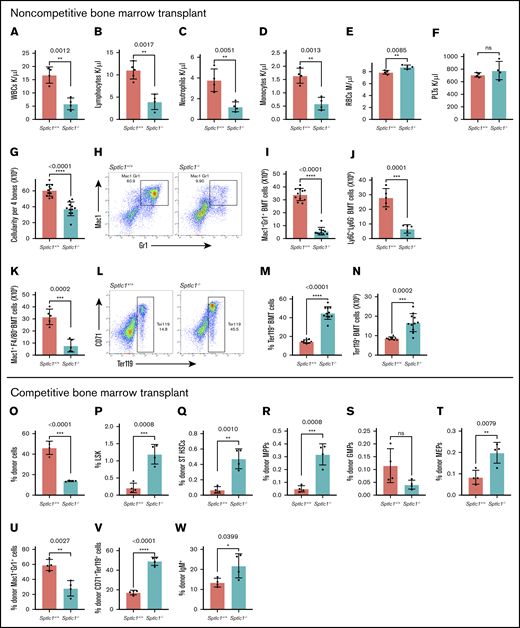Sptlc1 deletion impairs myeloid differentiation in chimeric mice and compromises HSC development in competitive repopulation studies. (A-N) Studies done in chimeric noncompetitive repopulations studies. (A-F) Complete blood count (CBC) analysis of peripheral blood white blood cell (WBC), neutrophil, lymphocyte, monocyte, RBC, and platelet (PLT) counts 21 days after poly(I:C) injection for noncompetitive BMT Sptlc1+/+ and Sptlc1−/− mice (n = 4). (G) Total BM cellularity was determined for the Sptlc1+/+ and Sptlc1−/− 21 days after poly(I:C) injection in chimeric mice (n = 11). (H) Myeloid differentiation in BMCs was analyzed by Mac-1 and Gr-1 staining. (I) The total numbers of Mac-1+Gr-1+ cells were plotted for the Sptlc1+/+ and Sptlc1−/− (n = 11). (J) The total numbers of Ly6C+Ly6G− cells were plotted for the Sptlc1+/+ and Sptlc1−/− (n = 5). (K) The total numbers of Mac-1+ F4/80+ cells were plotted for the Sptlc1+/+ and Sptlc1−/− (n = 5). (L) Erythroid differentiation in transplanted BMCs was analyzed by CD71 and Ter119 staining. (M) The percentage of CD71−Ter119+ cells was plotted for the Sptlc1+/+ and Sptlc1−/− mice (n = 11). (N) The total numbers of CD71−Ter119+ cells were plotted for the transplanted Sptlc1+/+ and Sptlc1−/− mice (n = 11). (O-W) Studies done in competitive repopulation studies ratio (1:8), analyzed 3 weeks after poly(I:C) injection. The percentages of donor CD45.2 cells (O), donor Lin− c-Kit+ Sca-1+ (LSK) cells (P), donor ST-HSCs (Q), donor MPP cells (R), donor GMP cells (S), donor MEP cells (T), donor myeloid cells (U), donor erythroid cells (V), and donor lymphoid cells (W) of Sptlc1+/+ and Sptlc1−/− in competitive transplant studies were plotted. All graphs are represented as mean ± SEM. P < .05 is significant, calculated from the unpaired Student t test.