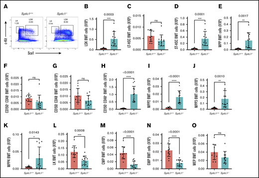 Sptlc1 deletion affects myeloid progenitors and increases ST-HSC and MPP populations in BMT cells. (A) The LSK and LK populations of HSPCs from transplanted BM were analyzed by Sca-1 and c-Kit staining 21 days after poly(I:C) injection. (B) The total number of LSK cells was plotted for the Sptlc1+/+ and Sptlc1−/− mice (n = 11). (C-E) The total numbers of LT-HSCs, ST-HSCs, and MPPs were plotted for the Sptlc1+/+ and Sptlc1−/− mice (n = 11). (F-H) The total numbers of CD150+ CD48−, CD150−CD48−, and CD150−CD48+ were plotted for the Sptlc1+/+ and Sptlc1−/− mice (n = 11). (I-K) The total numbers of MPP2, MPP3, and MPP4 were plotted for the Sptlc1+/+ and Sptlc1−/− mice (n = 11). (L) The total number of LK cells was plotted for the Sptlc1+/+ and Sptlc1−/− mice (n = 11). (M-O) The total numbers of CMPs, GMPs, and MEPs were plotted for the Sptlc1+/+ and Sptlc1−/− mice (n = 11). All graphs data are represented as mean ± SEM. P < .05 is significant, calculated from the unpaired Student t test.