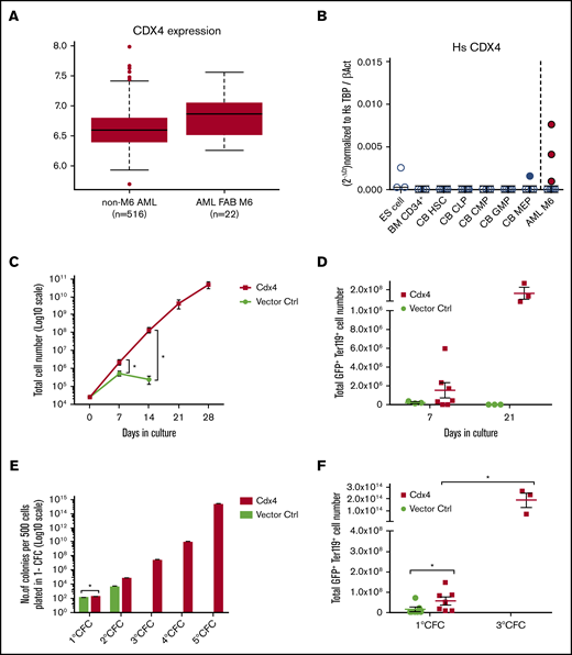 CDX4 is expressed in patients with AML M6 and induces an expansion of erythroid cells in vitro. (A) Microarray analyses showing expression of CDX4 in samples from patients with FAB M6 compared with non-M6 AML.9 (B) Fold expression measured by qRT-PCR of CDX4 in embryonic stem cells as a positive control, CD34+ human bone marrow cells, CB-derived hematopoietic stem cells (HSC), common lymphoid progenitors (CLP), common myeloid progenitor (CMP), granulocyte-macrophage progenitors (GMP), myeloid-erythroid progenitors compared with and human AEL patient samples (n = 8). Fold values were obtained through normalization to expression of TATA binding protein/β-actin. (C) Total cell number in liquid culture expansion assay of HSPCs transduced with Cdx4 (n = 6) or vector control (n = 7). Fluorescence-activated cell sorter-purified cells were plated 72 hours after retroviral infection, and viable cells were counted every 7 days. After day 14, all cells in the control group showed mast cell characteristics and were counted as 0. Total cell number difference was significant on day 7 and day 14; *P < .05 (Wilcoxon test, P = .0313). (D) Total number of Ter119+ cells at day 7 and day 21 of proliferation assay (n = 3-7). (E) CFC assay for HSPCs transduced with vector control and Cdx4 plated 72 hours after retroviral infection. The primary CFCs were euthanized and replated 4 times every 7 to 9 days. Total number of colonies generated from 500 cells plated in primary CFCs (n = 7) derived from BM cells transduced with the vector control (ctrl) or Cdx4 (*P < .05; Wilcoxon test, P = .027). (F) Total number of GFP+ Ter119+ cells generated in primary and tertiary CFCs (n = 3). Total GFP+ Ter119+ cell number in Cdx4 primary CFC compared with vector ctrl, *P < .05 (Wilcoxon test, P = .0313). Total increase in GFP+ Ter119+ cell number in Cdx4 primary CFC compared with tertiary CFC is indicated. *P < .05 (Mann-Whitney U test, P = .017).
