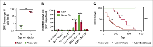Cdx4 induces an expansion of erythroid cells in vivo and an AEL in transplanted mice. (A) Spleen colony formation (CFU-S) was compared between Cdx4 (n = 4) and control vector (n = 5) transduced HSPCs. Transduced cells were sorted 72 hours after retroviral infection and injected in the tail vein of lethally irradiated mice 12 days before euthanasia. CFU-S frequency was calculated per 104 cells. Data are represented in a Log10 scale. Values are shown as mean ± standard error of the mean. Significance was calculated by the Mann-Whitney U test (**P < .01). (B) Spleen cells from panel A were stained and analyzed by fluorescence-activated cell sorting for the expression of myeloid and erythroid markers. The bar graph shows the mean percentage (± standard error of the mean) myeloid marker (Gr-1+/Mac-1+, Gr-1+/Mac-1−, Gr-1−/Mac-1+) and erythroid marker (CD71+/Ter119−, CD71+/Ter119+, and CD71−/Ter119+)-expressing cells and refers to the GFP+ compartment. Significance was calculated by the Mann-Whitney U test (*P = .0159). (C) Kaplan-Meier survival curves of primary (n = 12) and secondary (n = 22) mice transplanted with 5FU-stimulated BM cells expressing Cdx4 or the vector control. Mantel-Cox log-rank test was performed on mice injected with control vector vs Cdx4 (primary recipient mice; **P = .0045) and Cdx4 (secondary recipient mice; **P = .0019), respectively. Mantel-Cox log-rank test on all 3 survival curves was also found significant (****P < .0001).