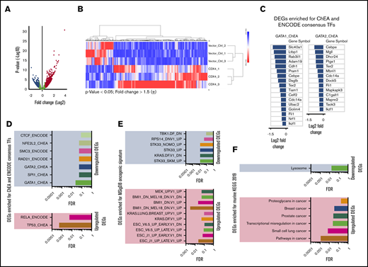 Cdx4 promotes expression of genes involved in oncogenic pathways and suppresses genes associated with erythroid differentiation. (A) Volcano plot showing all genes in the RNA sequencing analysis >P < .05. Each green dot represents a gene that is not differentially regulated. Upregulated DEGs in HSPCs, fold change >1.5 are indicated in red, downregulated DEGs in blue. Cumulative data of 3 biological independent experiments are shown for the vector control and Cdx4. (B) Heat map showing selected DEGs determined by RNA-Seq of Cdx4 and vector control-transduced HSPCs. Heat map representing unsupervised hierarchical clustering of all 6 samples for DEGs (fold change >1.5; P < .05). (C) Enrichr, ChEA, and ENCODE databases consensus transcription factor (TFs) enrichment analysis of downregulated (DN) DEGs, demonstrating enrichment for known targets of Gata1 and Gata2. (D) ENCODE and ChEA consensus TFs from ChIP-X analysis of downregulated DEGs (upper) and upregulated DEGs (lower). (E) The Molecular Signatures Database (MSigDB) oncogenic signature analysis of Cdx4 induced DEGs. (F) Kyoto Encyclopedia of Genes and Genomes (KEGG) 2019 pathway analysis of Cdx4 induced DEGs. The analysis in panels D-F was performed on Enrichr, web-based analysis platform.40