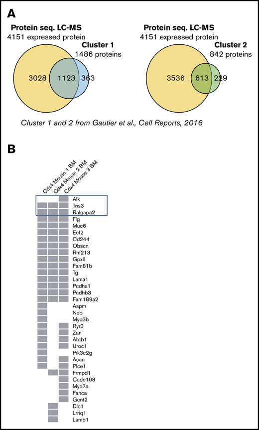 The protein profile of Cdx4 overexpressing HSPCs resembles the protein signature of immature erythroid stages. (A) Venn diagram representing the overlap of liquid chromatography-MS–based proteomics data (expressed proteins) to the published protein clusters, cluster 1 and cluster 2, derived from primitive stages of erythroid development.28 (B) Gene variants represented in a matrix plot found in 3 mice indicating 34 genes that were also found in patients with AEL.5 The 3 genes marked on top of the list were recurrently mutated (>2 patients) in patients with AEL.5
