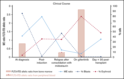 Summary of clinical courses with FLT3-ITD allelic ratio, ME ratio, and % blasts of bone marrow. ME ratio strikingly decreased by numerous erythroid precursors identified after initiation of gilteritinib treatment, whereas blasts significantly decreased. FLT3-ITD allelic ratio increased following gilteritinib treatment. Both FLT3-ITD and blasts became undetectable at day 30 after HCT.