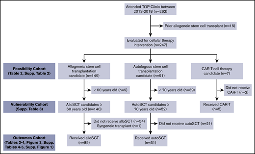 Consolidated Standards of Reporting Trials (CONSORT) diagram of the patients studied. This includes the total number of patients seen in the TOP MDC and the subsets further studied for feasibility, prevalence of vulnerabilities, and outcomes. alloSCT, allogeneic stem cell transplant; autoSCT, autologous stem cell transplant; CAR, chimeric antigen receptor.