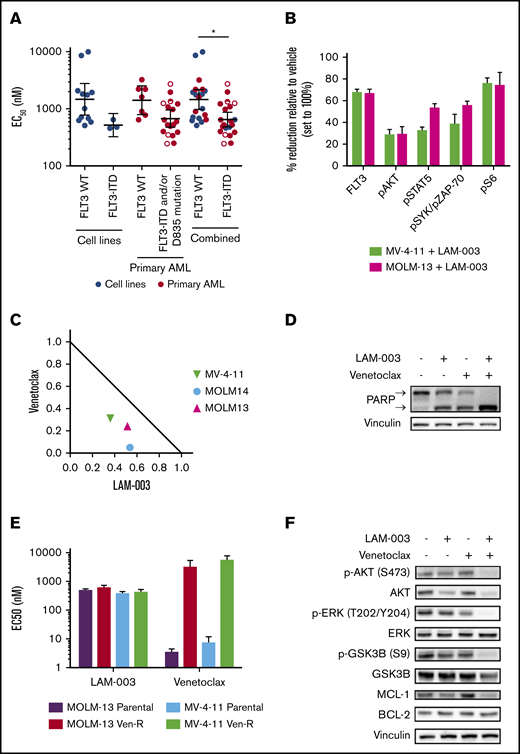 LAM-003 display antileukemic activity in AML cells harboring FLT3-ITD and synergistic activity with venetoclax. (A) Dot plot of average EC50 values in AML cell lines harboring WT FLT3 (WT) (n = 12) or FLT3-ITD (n = 3) or primary blasts (FLT3 WT, n = 7; FLT3-ITD and/or D835 mutation, n = 18) treated with LAM-003 for 72 hours. Cell lines were tested in duplicate a minimum of 2 independent times, and primary samples were tested once, in duplicate. The geometric mean ± 95% confidence interval is shown. Open circles are primary samples harboring D835 mutations, half circles are primary samples harboring FLT3-ITD and D835 mutation. EC50 values were calculated as described in the supplemental Methods and materials and shown in supplemental Table 1. *P < .05 using unpaired Student t test with Welch’s correction. (B) Expression of FLT3 and phospho-S6, phospho-AKT, phospho-STAT5, and phospho-SYK/ZAP-70 was evaluated by using flow cytometry in MV-4-11 (green bars) and MOLM-13 (pink bars) cells after treatment with LAM-003 for 24 hours. Average data ± standard deviation (SD) from 2 independent experiments are shown. (C) Normalized isobologram at the EC75 of three FLT3-ITD–harboring cell lines treated with a combination of LAM-003 and venetoclax for 72 hours before viability was assayed by using CellTiter-Glo. Each data point is the average of 2 independent experiments, each performed in duplicate. (D) Western blot analysis of MOLM-14 cells treated with LAM-003 (1 µM), venetoclax (20 nM), or the combination for 24 hours. Lysates were probed with antibodies to PARP or vinculin, which was used as a loading control. Upper and lower arrows denote full-length PARP and cleaved PARP, respectively. Representative data shown from 2 independent experiments. (E) EC50 values of LAM-003 or venetoclax in parental MOLM-13 or MV-4-11 cells and venetoclax-resistant cell lines (Ven-R) treated for 72 hours before viability determined by using CellTiter-Glo luminescent cell viability reagent. Experiments were performed a minimum of 2 independent times, each in duplicate, and averaged data ± SD are shown. (F) Western blot analysis of MOLM-14 cells treated with LAM-003 (1 µM), venetoclax (20 nM), or the combination for 24 hours. Lysates were probed with the indicated antibodies. Vinculin was used as a loading control. Representative blot shown from 2 independent experiments.