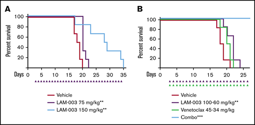 LAM-003 exhibits potent antileukemic activity in AML mouse models. (A) Kaplan-Meier survival analysis of a MOLM-13 systemic model in which mice were dosed orally with vehicle or with LAM-003 (75 or 150 mg/kg daily). Statistical significance was calculated by using the log-rank (Mantel-Cox) test. **P = .005 for LAM-003 75 mg/kg vs vehicle; **P = .008 for LAM-003 150 mg/kg vs vehicle. (B) Kaplan-Meier analysis of animal survival of mice inoculated with MOLM-13 cells systemically and treated with LAM-003 orally, venetoclax orally, or the combination as indicated once daily. Statistical significance was calculated by using the log-rank (Mantel-Cox) test. **P = .008 for LAM-003 vs vehicle; ***P = .0006 for the drug combination vs vehicle.