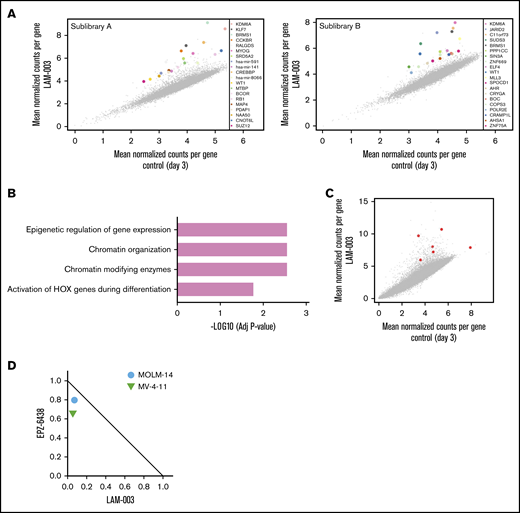 CRISPR identifies epigenetic regulation as a key determinant of LAM-003 sensitivity. (A) Scatter plot showing enrichment of the top 20 normalized sgRNA read counts in vehicle and LAM-003–treated CRISPR pools in GeCKO sublibraries A and B. (B) Gene ontology analysis of top 20 sgRNAs. (C) Scatter plot showing enrichment of normalized sgRNA read count of KDM6A in vehicle and LAM-003–treated CRISPR pools from the combined A and B GeCKO sublibraries. Six individual sgRNAs used for targeting KDM6A are shown in red. (D) Normalized isobologram at the EC75 of two FLT3-ITD–harboring cell lines treated with the EZH2 inhibitor EPZ6438 for 4 days followed by the combination of EZH2 inhibitors and LAM-003 for an additional 72 hours before viability was assayed by using CellTiter-Glo. Data points are the average of 2 independent experiments, each performed in duplicate.