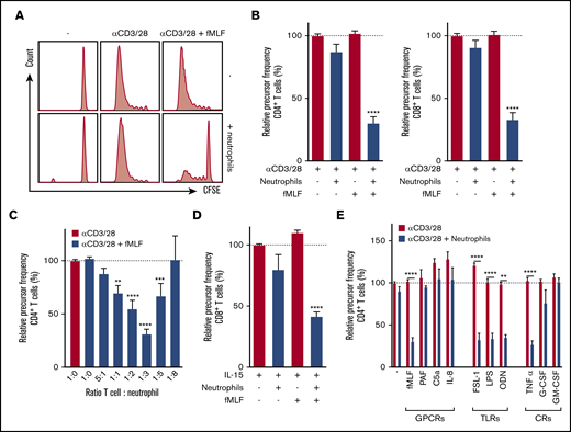 Activated neutrophils suppress T-cell proliferation. Purified T cells (either CD4+ or CD8+) were cultured in the presence or absence of anti-CD3 antibody or anti-CD28 antibody with unstimulated or fMLF-activated neutrophils (unless otherwise indicated). Cells were harvested after 5 to 6 days and analyzed by flow cytometry for CFSE dilution. (A) Representative fluorescence-activated cell sorting (FACS) plots of CFSE dilution of CD4+ T cells. (B) Quantification of CD4+ (left) and CD8+ (right) T-cell proliferation (n = 17). (C) Titration of the cell ratio with 4000 (5:1 ratio), 20 000 (1:1), 40 000 (1:2), 60 000 (1:3), 100 000 (1:5), or 160 000 (1:8) neutrophils per well of a 96-well plate (n = 3-17). (D) Purified T cells were cultured in the presence or absence of IL-15 with unstimulated or fMLF-activated neutrophils (n = 5). (E) Purified T cells were cultured with anti-CD3 and anti-CD28 antibodies (red bars), and in the presence of neutrophils (blue bars) and/or indicated stimuli. Three to 19 donors were tested in duplicate per stimulus. Error bars indicate standard error of the mean (SEM); ****P < .0001; ***P < .001; **P < .01. CR, cytokine receptor; GPCR, G-protein–coupled receptor; TLR, Toll-like receptor.