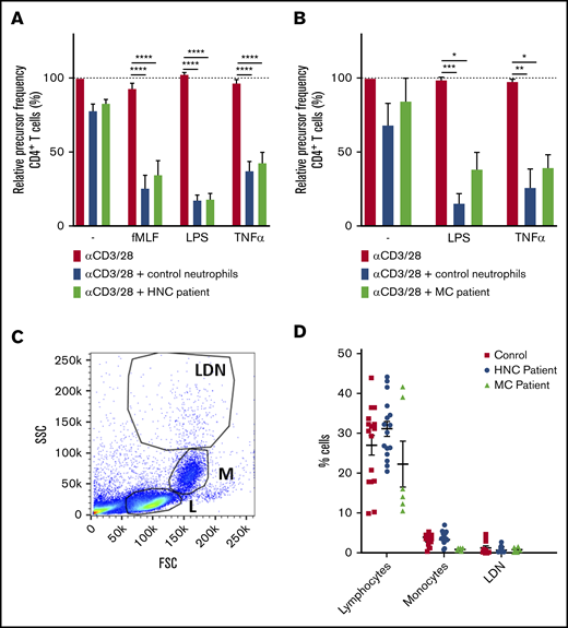 Neutrophils from patients with HNC do not show spontaneous suppression of T-cell activation. (A-B) Purified T cells from control donors were cultured with anti-CD3 and anti-CD28 antibodies (red bars) and in the presence of neutrophils from control donors (blue bars) or patients with HNC (A: green bars, 8 donors tested in duplicate) or patients with MC (B: green bars, 3 donors tested in duplicate), and/or indicated stimuli. Cells were harvested after 5 to 6 days and analyzed by flow cytometry for CFSE dilution among CD4+ T cells (8 donors tested in duplicate). (C-D) PBMCs from healthy controls (red square), HNC patients (blue circle, 8 patients tested in duplicate), or MC patients (green triangle, 3 patients tested in duplicate) were analyzed by flow cytometry and divided into 3 separate cell populations: lymphocytes (L), monocytes (M), and low-density neutrophils (LDNs). Shown is a representative plot (C) and the percentage of cells of each indicated cell population (D). Error bars indicate SEM. *P < .05, **P < .01, ***P < .001, ****P < .0001.