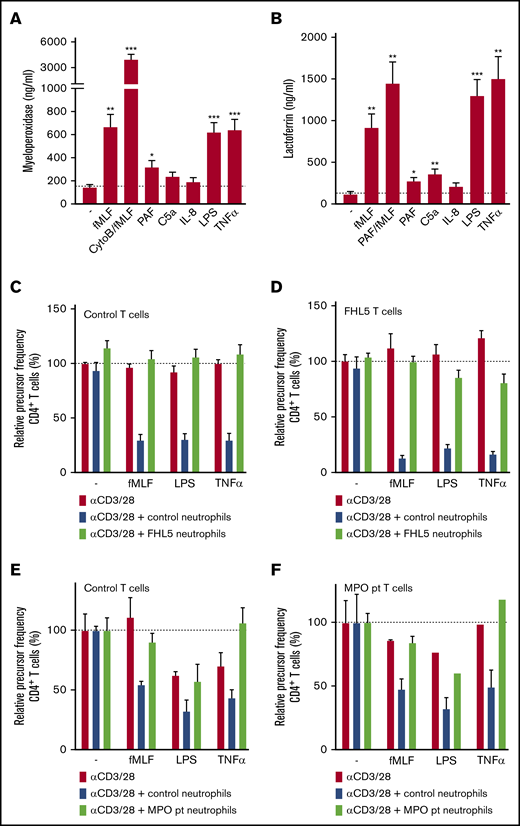 Suppressive activity of neutrophils requires degranulation. (A-B) Neutrophils were stimulated with the indicated stimuli for 4 hours at 37°C after which supernatants were harvested and analyzed for the presence of myeloperoxidase (from primary granules) (A) and lactoferrin (from secondary granules) (B) by enzyme-linked immunosorbent assay (n = 7). (C-F) Purified T cells from control donors (C,E; n = 2), FHL-5 (D; n = 2), or MPO-deficient (F; n = 1) patients were cultured with anti-CD3 and anti-CD28 antibodies (red bars), in the presence of neutrophils from control donors (blue bars), FHL-5 patients (C-D, green bars), or an MPO-deficient patient (E-F, green bars), and/or indicated stimuli. Cells were harvested after 4 to 6 days and analyzed by flow cytometry for CFSE dilution among CD4+ T cells. Error bars indicate SEM. ***P < .001; **P < .01; *P < .05. CytoB, cytochalasin B; pt, patient.
