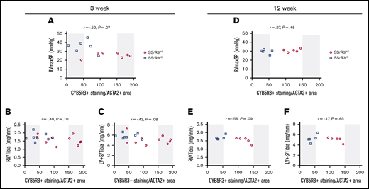 Association of SMC CYB5R3 protein levels with RVmaxSP and biventricular cardiac remodeling in SS chimeras. CYB5R3 protein expression in pulmonary arterial SMC was determined for animals completing the 3- and 12-week studies. For the 3-week study, there was a trending association between SMC CYB5R3 protein expression and RVmaxSP: r = −.52, P = .069, n = 6-7 per group (A); corrected right ventricle mass (RV/Tibia): r = −.40, P = .10 (B); and corrected left ventricle + septum mass (LV+S/Tibia): r = −.43, P = .08; n = 8 per group for all (C). For the 12-week study, there was no obvious association of SMC CYB5R3 protein expression with RVmaxSP: r = .27, P = .46 (D); RV/Tibia: r = −.56, P = .09 (E); and LV+S/Tibia: r = −.17, P=.65; n = 5 per group for all (F). Correlation analyses were performed using Pearson r with significance set at <0.05.