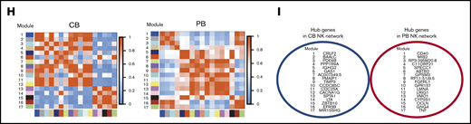 NK cell repertoire in CB is immature and less heterogeneous than in PB. (A) The manually pregated CD56+ NK cell populations were exported and down-sampled to an equal cell number of 2000 per sample. Individual t-SNE maps show the expression of 33 different NK cell markers. Color scale indicates signal intensity, ranging from low (blue) to high (red) after arcsine transformation. Bar plots under each t-SNE map depict the frequencies of NK cells expressing each marker in 10 CB (blue) vs 10 healthy PB (red) donors. *P ≤ .05; **P ≤ .01; ***P ≤ .001; **** P ≤ .0001. Bars represent median values with interquartile ranges. (B) SPADE analysis identified distinct clusters within CB (left) and PB (right) NK cell compartments. Phenotypically distinct CB and PB NK cell clusters occupy different regions of the SPADE tree. Node size and color scale represent the relative number of cells per node. (C) Cytotoxicity of resting healthy donor PB (red) and CB (blue) NK cells against K562 targets at different effector: target (E:T) ratios, as measured by 51Cr-release assay (n = 10). (D) Bar plots summarize the IFN-γ, TNF-α, and CD107A response to K562 targets by bead-purified PB (red) and CB (blue) NK cells (n = 10). **P ≤ .01; ***P ≤ .001. Bars represent median values with interquartile ranges. (E) Global gene expression analysis by RNA sequencing. Heat map displays 1073 genes that are differentially expressed (adjusted P < .01 with log2 fold change >1) in purified NK cells from CB (3 different donors) vs PB (6 different donors). (F) Volcano plot showing significantly differentiated genes (red dots) between CB and PB. (G) Heat map of differentially expressed genes as described by the indicated gene ontology (GO) terms. (H) Gene coexpression network construction was performed with Pearson’s correlation between the expression profiles of each module. The rows and columns represent each module in different color and number for each network construction. Color bar shows the correlation index. (I) Hub genes from each module of networks were displayed in 2 circles; the blue circle presents the CB, and the red circle represents the PB NK cell network. NS, not significant.