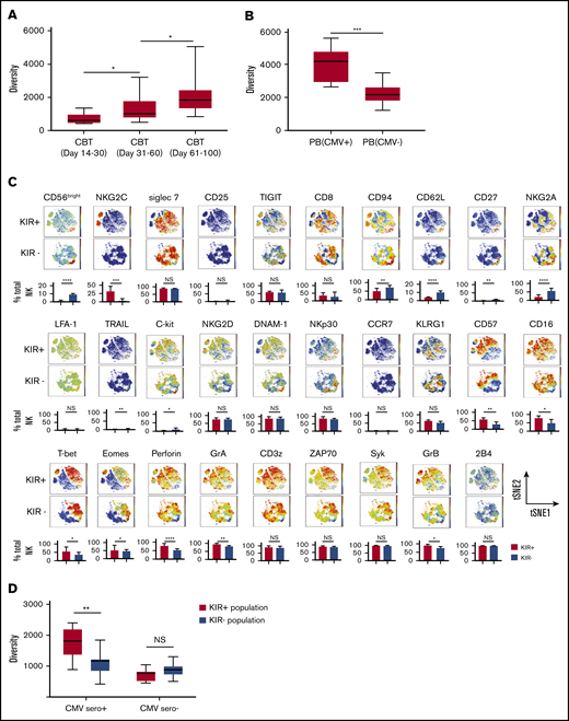 NK cell repertoire diversifies with maturation and after CMV infection. (A) The box graphs show the NK cell repertoire diversity in PB samples collected from CBT recipients in the first 30 days (7 patients; 13 samples), days 31-60 (17 patients; 28 samples) and days 61-100 (19 patients; 25 samples). *P ≤ .05. Boxes represent median with minimum to maximum range. (B) Box graphs comparing the diversity of the NK cell repertoire, measured using the inverse Simpson index, in healthy adult donors who were CMV seropositive (left, n = 10) or CMV seronegative (right, n = 10). ***P ≤ .001. Boxes represent median with minimum to maximum range. Samples from CMV seropositive patients were collected after CMV reactivation. (C) Comparison of the phenotypic complexity of KIR+ and KIR− NK cells from a representative healthy CMV seropositive adult donor using 2-dimensional t-SNE maps. Individual t-SNE maps show the expression of 29 different NK cell markers. Color scale indicates signal intensity, ranging from low (blue) to high (red) after arcsine transformation. Bar plots under each t-SNE map depict the frequencies of NK cells expressing each marker in the KIR+ and KIR− NK cell populations from 10 CMV seropositive adults. *P ≤ .05; **P ≤ .01; ***P ≤ .001; ****P ≤ .0001. Bars represent median with interquartile range. (D) Box graphs comparing the diversity of the NK cell repertoire, measured using the inverse Simpson index, in KIR+ (red, n = 10) vs KIR− NK cells (blue, n = 10) from CMV seropositive or seronegative adult PB donors. **P ≤ .01. Boxes represent median with minimum to maximum range.