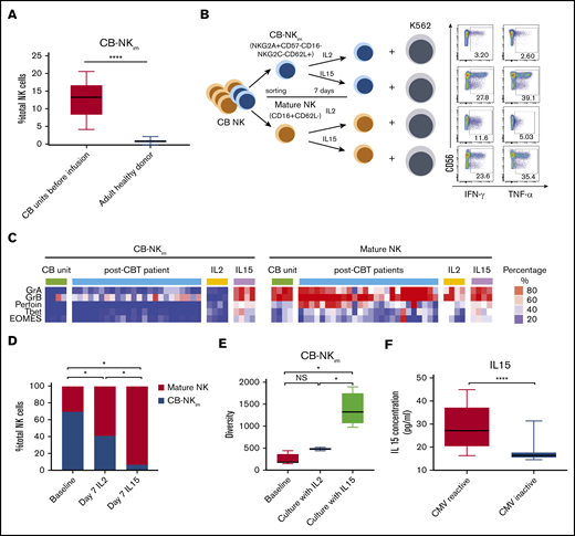 IL-15 drives CB-NKimsubset diversity and functional maturation. (A) Frequency of CB-NKim subset within the total NK cell population in CB units before infusion (left) compared with adult healthy PB donors (right). Boxes represent median with minimum to maximum range. ****P ≤ .0001. (B) Schema of CB NK cell in vitro experiments. CB-NKim (NKG2A+CD57−CD16−NKG2C−CD62L+) and CB-NK mature (CD16+CD62L−) were sort-purified and cultured in the presence of IL-2 (10 units/mL) or IL-15 (20 ng/mL) for 7 days. Representative flow plots show enhanced IFN-γ and TNF-α response to K562 targets by CB-NKim cells and mature CB-NK cells cultured for 7 days in the presence of IL-2 or IL-15. Inset numbers are the percentages of IFN-γ- and TNF-α-positive NK cells within the indicated gated regions. (C) Heat map shows expression of transcription factors and cytotoxicity markers in CB-NKim (NKG2A+CD57−CD16−NKG2C−CD62L+) and CB-NK mature (CD16+CD62L−) before and after culture with IL-2 (10 units/mL) or IL-15 (20 ng/mL) for 7 days and in PB samples collected from patients at day 100 after CBT. Each column represents 1 donor and each row reflects expression of a certain maker for each annotation, highlighting their distinct expression in immature subset and mature subset. Color scale shows the expression level of each marker, with red representing higher expression and blue lower expression. (D) Stacked bar graphs showing the comparison of frequency of CB-NKim subset before stimulation (baseline) or after stimulation with IL-2 (10 units/mL) or IL-15 (20 ng/mL) for 7 days. *P ≤ .01. The y-axis represents the proportion of CB-NKim vs mature NK cells after ex vivo culture of purified CB-NK cells with different cytokines. (E) Box plots showing diversity of CB-NKim subset before stimulation (baseline) or after stimulation with IL-2 (10 units/mL) or IL-15 (20 ng/mL) for 7 days. *P ≤ .01. (F) Box plots showing the IL-15 concentration in plasma samples collected from patients with CMV reactivation post-CBT (n = 19; median, 27.2 pg/ml; range, 16.3-44.9 pg/mL) vs those who did not (n = 24; median, 15.6 pg/mL; range, 13.5-31.9 pg/mL) in the first 100 days after CBT. ****P ≤ .0001.