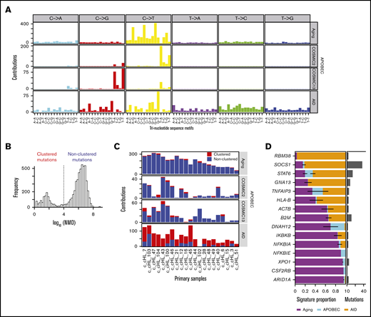 Mutational signatures in cHL. (A) Mutational signature analysis with clustering based on the NMD after removal of MSI samples. Identified signatures included C>T at CpG (Aging), AID, and an additional contribution of APOBEC signatures (COSMIC2 and COSMIC13). (B) Mutational clustering. Based on the bimodal distribution of NMD, all mutations were designated as either clustered (NMD ≤10 kb) or nonclustered (NMD ≥10 kb). (C) Signature activity (number of mutations assigned to each signature, y-axis) in each group (red, NMD ≤10 kb; blue, NMD ≥10 kb) across the 21 cHLs (2 MSI hypermutator cases were excluded, x-axis). (D) Relative contribution of each mutational process (Aging, APOBEC, and AID) for the 15 significantly mutated genes. Genes are ordered top to bottom by the fraction of the Aging signature. Error bars show the standard error of the mean. Histogram to the right shows the number of mutations within each mutated gene.