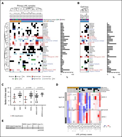 Co-occurring genetic alterations in cHL. (A) Genetic alterations are visualized in a color-coded matrix. Mutations and SCNAs with a false discovery rate–corrected q < 0.1 and SVs detected in ≥2 cases. Left: primary EBV+ cases; right: EBV– cases. Morphologic subtype as labeled. Each column represents an individual cHL sample. Clustering of alterations used the 1-Pearson-correlation method. Right: frequency of the genetic alterations are presented as a bar graph. (B) Genetic alterations identified in primary cHLs in panel A are shown in cHL cell lines. (C) Graphical comparison of the number of driver events in EBV+ vs EBV–, MC vs NSHL, and ARID1A wild-type (WT) vs mutant cHLs. MC cHLs are shown in red. (D) Genetic bases of perturbed MHC class I and MHC class II expression in the cHLs. IGV plot of copy number from chromosome 6p21.32 to 6p21.33 reveals copy loss of MHCII and/or MHCI, including HLA-B, in individual cHLs. The EBV status, B2M and HLA-B mutations, and CIITA SVs in individual cHLs are indicated in the header. *Indicates 9 cHLs for which additional flow cytometry analysis was performed. (E) Table comparing the HRS cell MHC class II expression levels in tumors with known MHCII status (copy loss or no copy loss). The P value (P = .048) was determined by using a Fisher’s exact test (see also supplemental Figure 7). non-syn, non-synonymous.