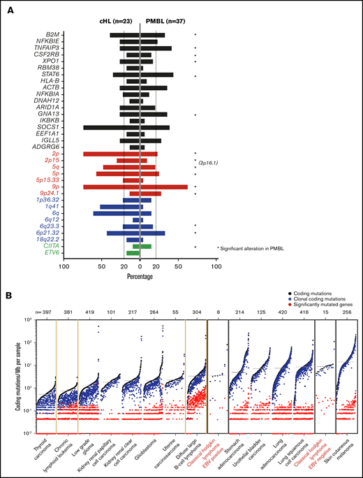 Comparative analysis between cHL and other lymphoid malignancies and cancer subtypes. (A) Mirror plots, centric to genetic alterations identified in cHL, generated by directly comparing cHL (n = 23) to PMBL (n = 37).22 Focal gain of 2p16.1, observed in PMBL,22 is labeled to indicate the similarity in the focal gain to that observed at 2p15 in cHL. Non-synonymous mutations, black; CN gain, red; CN loss, blue; SVs, green. *Indicates the genetic alteration was also significant in PMBL. (B) Cancer subtypes sorted by median of coding mutations per Mb per sample, with the tumor type labeled below and number of cases within each cohort shown at the top. EBV+ and EBV– cHL are labeled in red. EBV– tumors have a high mutational burden, similar to that of carcinogen-induced tumors (melanoma and squamous cell lung cancer).