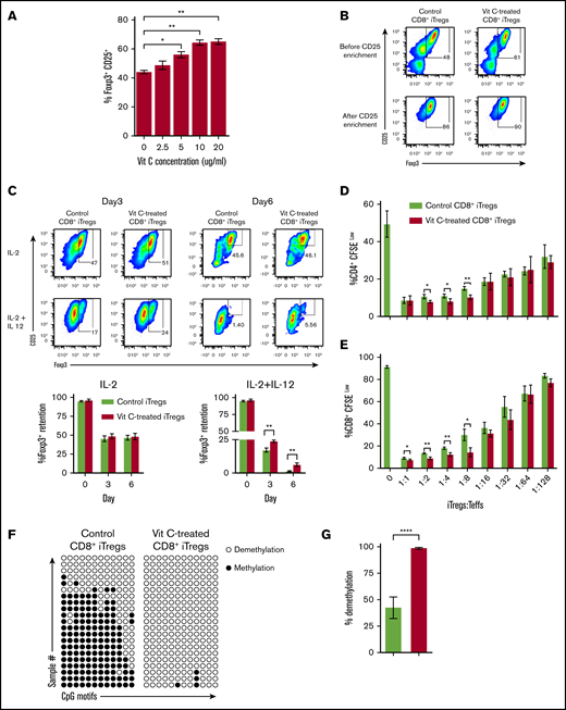 Vit C promotes Foxp3 expression and stability in CD8+iTregs. (A) Allogeneic CD8+ iTregs were generated by coculturing CD8+ T cells isolated from C57BL/6 mice with allogeneic dendritic cells isolated from BALB/c mice in the presence of IL-2 (5 ng/mL), TGF-β (5 ng/mL), retinoic acid (40 nM), and Vit C (0 µg/mL to 20 µg/mL). After 5 days, the expression of Foxp3+ on CD8+ cells was analyzed by flow cytometry (n = 3 per group). (B) CD8+ iTregs (Vit C 10 μg/mL) were enriched from the bulk culture using positive selection with CD25+ MicroBeads. FACS plots show Foxp3+ expression after generation and CD25+ enrichment. (C) In vitro stability of CD8+ iTregs under IL-2-alone conditions and under IL-2+IL-12 conditions (n = 3 per group) were evaluated. Foxp3+ expression retained after 3 and 6 days is shown. In vitro suppressive function of CD8+ iTregs was assessed by carboxyfluorescein diacetate succinimidyl ester dilution of CD4+ (D) and CD8+ (E) responder T cells (n = 3 per group). (F) Demethylation status in the CNS2 region of the Foxp3 gene (⃝, demethylated CpGs; ●, methylated CpGs) (n = 21 per group). (G) Bar graph showing the percentage of demethylation in control (green) and Vit C–treated (red) CD8+ iTregs. Data are representative of 2 (A,C-G) or >10 (B) independent experiments. *P ≤ .05, **P ≤ .01, ****P ≤ .0001, 2-tailed Student t test.