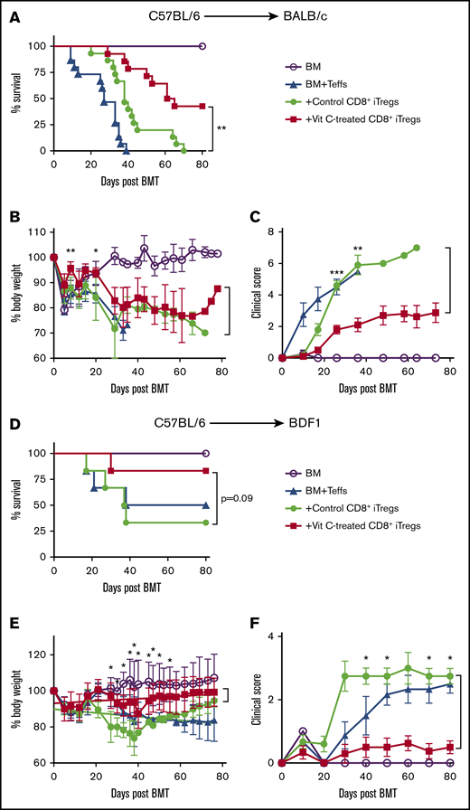 Vit C-treated CD8+iTregs alleviate aGVHD. (A-C) B6→BALB/c: lethally irradiated BALB/c mice were adoptively transferred with 1 × 106 CD8+ iTregs and 5 × 106 WT TCD-BM cells. Three days later, 0.7 × 106 CD25-depleted T cells were injected IV to induce aGVHD. Recipients were monitored until day 80 for survival rate (A), body weight loss (B), and GVHD clinical signs (C) (n = 10 per group). (D-F) B6→BDF1: lethally irradiated BDF1 mice were infused with 2 × 106 CD8+ iTregs and 5 × 106 WT TCD-BM cells. Three days later, 3 × 106 CD25-depleted T cells were injected IV to induce aGVHD. Recipients were monitored until day 80 for survival rate (D), body weight loss (E), and GVHD clinical signs (F) (n = 8-10 per group). Data are combined from 2 independent experiments. *P ≤ .05, **P ≤ .01, ***P ≤ .001, Student t test or log-rank (Mantel-Cox) test.