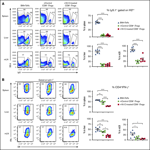 CD8+iTregs suppress Teff expansion and differentiation. Lethally irradiated BALB/c mice were used as recipients, and the procedures are described in Figure 3A. H2b+ Ly5.1+ cells were analyzed as Teffs. (A) Ability of transferred CD8+ iTregs (Ly5.2+) to suppress Teff (Ly5.1+) expansion. IFN-γ expression of CD4+ (B) and CD8+ (C) Teffs. Data are combined from 2 independent experiments (n = 7 per group). *P ≤ .05, **P ≤ .01, ***P ≤ .001, ****P ≤ .0001, 1-way ANOVA.