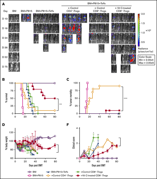 Vit C–treated CD8+iTregs prevent GVHD while preserving GVL in the P815 mastocytoma model. (A-D) Lethally irradiated BDF1 mice were adoptively transferred with 2 × 106 CD8+ iTregs, 5 × 106 WT TCD-BM cells, and 5 × 103 P815 mastocytoma cells. Three days later, 3 × 106 CD25-depleted T cells were injected IV to induce GVHD. Recipient mice were monitored until day 80 for tumor burden (A), survival rate (B), tumor mortality (C), body weight (D), and clinical scores (E). Data are combined from 2 independent experiments (n = 9 or 10 per group). The log-rank (Mantel-Cox) test was used for statistical analyses of the survival and tumor-relapse data, and the Student t test was used for body weight loss and GVHD clinical score. *P ≤ .05, **P ≤ .01, ***P ≤ .001, ****P ≤ .0001.