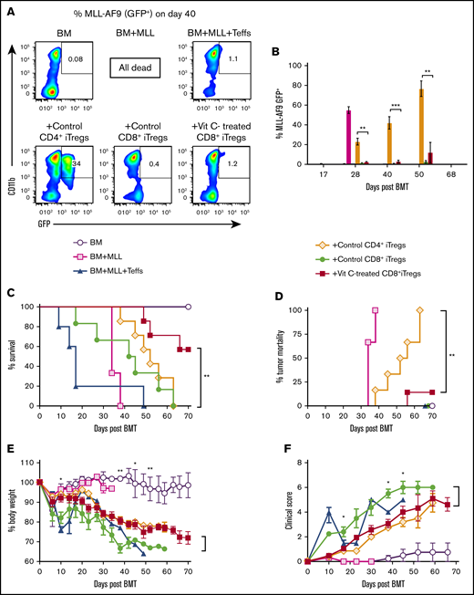 Vit C–treated CD8+iTregs alleviate GVHD without impairing the GVL effect in MLL model. Lethally irradiated BALB/c mice were adoptively transferred with 1 × 106 CD8+ iTregs, 5 × 106 WT TCD-BM cells, and 1 × 105 MLL-AF9 cells. Three days later, 0.7 × 106 CD25-depleted T cells were injected IV to induce aGVHD. (A) Representative FACS plots of MLL-AF9 (CD11b+GFP+) cells in recipient peripheral blood on day 40 post-BMT. (B) Bar graph shows the percentage of MLL-AF9 cells in the blood, quantified by GFP expression, at the indicated time points. Survival rate (C), tumor mortality (D), body weight loss (E), and clinical scores (F) of recipient mice were monitored until day 70 (n = 6 or 7 per group). The log-rank (Mantel-Cox) test was used for statistical analysis of the survival and tumor mortality data. One-way ANOVA was used for statistical analyses of MLL percentages, and the Student t test was used for body weight loss and GVHD clinical scores. *P ≤ .05, **P ≤ .01, ***P ≤ .0001.