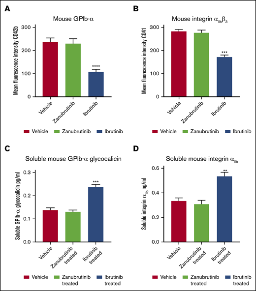 Ibrutinib induces shedding of platelet surface GPIbα and integrin αIIbβ3with production of soluble GPIbα and soluble integrin αIIbfrom mouse platelets in vivo. (A-B) Whole blood was collected from C57BL/6 mice treated with 10 mg/kg ibrutinib or 10 mg/kg zanubrutinib or vehicle control after 2 hours of ingestion by oral gavage. Washed murine platelets (100 × 109/L) were then labeled with anti-mouse CD42b (GPIbα) or anti-mouse CD41a (integrin αIIbβ3) PE-conjugated antibodies. Flow cytometric analysis was used to determine the respective platelet glycoprotein expression. Statistical analysis was performed with the Student t test. Results are represented as mean fluorescence intensity (MFI) ± SEM from 3 independent experiments. ****P ≤ .0001. (C-D) Plasma obtained from C57BL/6 mice treated with 10 mg/kg ibrutinib, 10 mg/kg zanubrutinib, or vehicle control was collected after 2 hours of ingestion by oral gavage. Levels of plasma soluble GPIbα (A) and soluble integrin αIIb (B) were determined for vehicle control vs Btk inhibitor-treated C57BL/6 mice using ELISA-based assays. Results represent 3 independent experiments and are plotted as the mean ± SEM, by unpaired Student t test. **P ≤ .01, ***P ≤ .005.