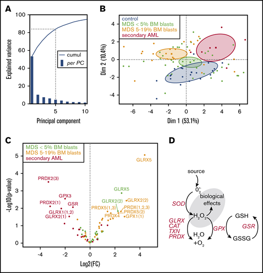 Principal component analysis (PCA) of BM antioxidant transcripts of healthy controls and MDS/sAML patients. (A) Cumulative explained variance (blue line) and per PCA explained variance (blue bar) showing that PC1 explains 53.1% of the variance and that the 5 first PCs explain >80% of the total variance (dotted line). (B) PCA individual plot of patients: MDS with <5% BM blasts, MDS with 5% to 19% BM blasts, and sAML in green, orange, and red, respectively, and healthy controls (in black) highlighting the specific partition in a 2-dimensional PCA diagram (PC1, x-axis; PC2, y-axis). Barycenter and 95% confident ellipse of each group are represented and show that the expression profiles of antioxidant-related genes allow the discrimination between healthy controls, MDS with <5% BM blasts, MDS with 5% to 19% blasts, and sAML patients. (C) Volcano plot plotting fold change (FC) and P values between healthy controls and different MDS subgroups/sAML, highlighting an increased expression of different genes in MDS and a strongly decreased expression in sAML. (D) Schematic representation of antioxidant gene function.