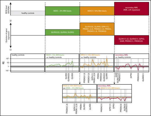 Evolutive profile of ROS levels in BM primitive progenitors and BM antioxidogram in MDS/sAML patients. (Top) Increasing ROS levels in CD34posCD38low progenitors during MDS evolution, from healthy controls (low ROS level) to MDS patients (intermediate ROS level), then sAML transformation (high ROS level), according to Figure 1. According to Figure 2, the middle panel shows the evolution of the antioxidogram from healthy controls to MDS with <5% BM blasts, MDS with 5% to 19% BM blasts, and sAML patients, successively. (Bottom) Variations of the antioxidant profile during transitions from MDS with <5% BM blasts to MDS with 5% to 19% BM blasts and sAML. Significant difference (ΔCt values), *P < .05.