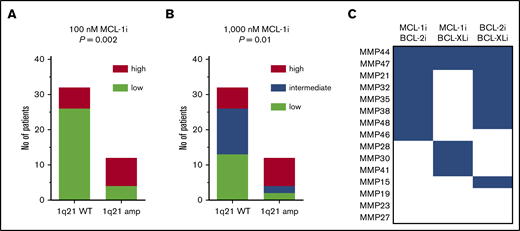 A subset of patients without 1q21 amplification shows sensitivity to MCL-1 inhibition. (A) Fraction of patients within 1q21 WT and amplified groups with high (≥20%; n = 14) or low (<20%; n = 30) sensitivity to MCL-1i at 100 nM. Significance by χ2 test is shown in the graph. (B) As in panel A, but at 1000 nM of MCL-1, where high (≥60%; n = 14), intermediate (23%-60%; n = 15), and low (<23%; n = 15) sensitivity groups could be identified. Cutoff values were based on terciles of specific apoptosis after 24 hours of treatment with MCL-1i. (C) Inhibitor combination sensitivity of patients with low sensitivity to single MCL-1i. Blue boxes indicate at least intermediate sensitivity, after 24 hours of treatment with indicated inhibitor combinations (all at 100 nM). Two patients in this analysis had amplification of 1q21, namely MMP27 and MMP44.