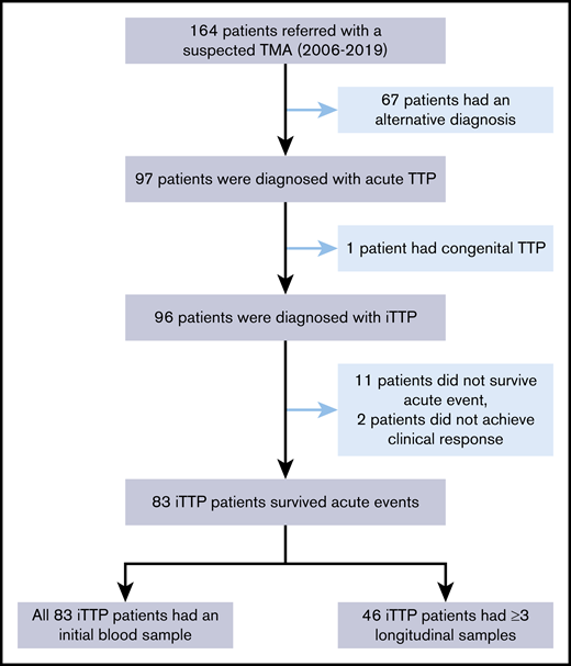 Selection of patients with iTTP for the study. A total of 164 patients with suspected TTP between April 2006 and June 2019 were referred for TPE. Of those, 67 patients had alternative diagnoses, 1 patient had hereditary TTP, 11 patients died during the acute episode, and 2 patients did not respond to treatment (1 later died, and 1 was lost to follow-up). These patients were excluded from the study. This left 83 unique patients (97 episodes) for analysis. Of these, 46 patients with iTTP had serial blood samples (≥3) and 48 patients had at least 2 samples collected during the treatment.