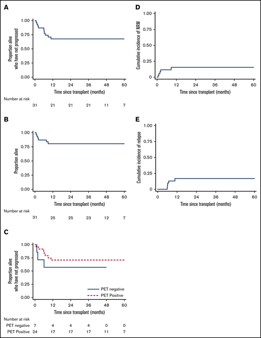 Survival outcomes. PFS (A) and OS (B) for the cohort of 31 patients. (C) PFS according to pretransplant disease status. NRM (D) and relapse incidence (E).