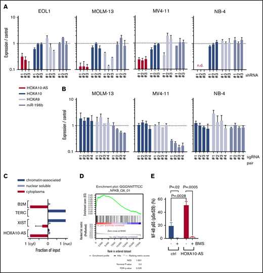 HOXA10-AS does not act as a local regulator of nearby genes and exerts its effects by inducing NF-κB target genes. (A) Expression of HOXA10-AS, HOXA10, HOXA9, and mir-196b as measured by qRT-PCR in EOL-1 cells, MOLM-13, MV4-11, and NB-4 cells after shRNA-mediated HOXA10-AS knockdown using 3 different shRNAs (n ≥ 2; n.d., not detectable). (B) Expression of HOXA10, HOXA9, and mir-196b as measured by qRT-PCR in single-cell clones of MOLM-13, MV4-11, and NB-4 cells after sgRNA-mediated HOXA10-AS excision using 4 different pairs of sgRNAs (n = 2). (C) Enrichment of HOXA10-AS in the cytoplasmic, nuclear soluble, and chromatin-bound compartments as measured by qRT-PCR on fractionated RNA from MOLM-13 and EOL-1 cells. The enrichment is shown as a ratio normalized to the compartment in which the transcript is most highly expressed (n = 2). (D) Gene set enrichment analysis results for NF-κB target genes in LBid-HOXA10-AS–transduced, sorted CD11b+/CD14−/CD117− cells compared with LBid-control–transduced cells on day 5 of monocytic differentiation. (E) Percentage of phosphorylated p65-positive (pSer529) LBid-HOXA10-AS– or LBid-control–transduced ML-2 cells in the presence or absence of 1 µM BMS-345541 (n = 2; presented as mean ± SD). FDR, false discovery rate; NES, normalized enrichment score.
