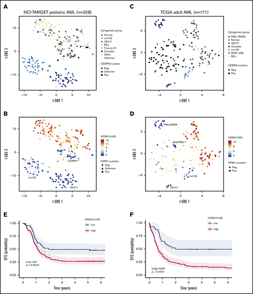 HOXA10-AS is a prognostic factor in AML. Analysis of RNA-sequencing data from 258 NCI-TARGET pediatric35 (A-B) and 171 TCGA adult36 (C-D) AML samples. (A) t-SNE representation using the 4362 most variable genes (interquartile range >1.5), with samples colored according to AML subtype. (B) t-SNE as in panel A with samples colored according to HOXA10-AS expression as indicated by the color key. (C) t-SNE representation using the 1840 most variable genes (interquartile range >1.5), with samples colored according to AML subtype. (D) t-SNE as in panel C with samples colored according to HOXA10-AS expression as indicated by the color key. (E) Probability of EFS in 258 NCI-TARGET pediatric AML patients with high (red; >5.5 normalized reads; cutoff determined via maximally selected rank statistics) or low HOXA10-AS expression (blue; ≤5.5 normalized reads). (F) Probability of EFS in 171 TCGA adult AML patients with high (red; >4.6 normalized reads; cutoff determined via maximally selected rank statistics) or low HOXA10-AS expression (blue; ≤4.6 normalized reads).