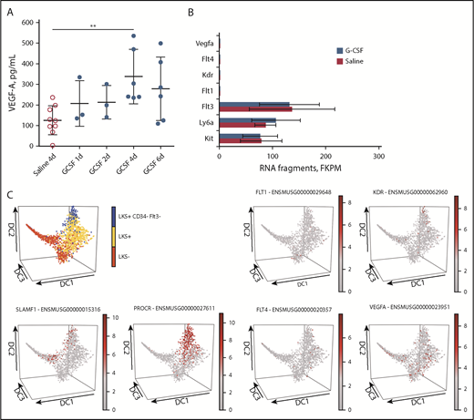 Figure 2. VEGF-A protein increased in BM fluids during G-CSF treatment, but VEGFR1 (Flt1), VEGFR2 (Kdr), and VEGFR3 (Flt4) mRNA are not detected in HSPCs. (A) VEGF-A concentration in BM fluids from mice mobilized with G-CSF. Data are mean ± standard deviation of 3 to 9 mice per time point. (B) RNA-seq analysis of LKS+ cells sorted from the BM of mice treated with saline or G-CSF for 2 days. Results in fragments per kilobase of transcript per million mapped reads (FKPM) are from 3 mice for each treatment group (mean ± standard deviation). (C) In silico single-cell clustering of expression of Flt1, Kdr, Flt4, and Vegfa mRNA on Single-Cell Gene Expression Atlas Web site (http://blood.stemcells.cam.ac.uk/single_cell_atlas.html). Distribution of individual HSPC subsets in blue (HSCs), yellow (LKS+ HSPCs), and red (LKS− HPCs) (upper left panel). In all other panels, the intensity of the mRNA signal increases from gray (negative) to red. Slamf1 (CD150) and Procr (EPCR) mRNA identify long-term reconstituting HSCs. Among all single HSPCs sequenced (gray dots), the red dots represent single cells positive for the indicated mRNA. **P < .01.