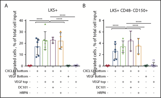 Figure 6. VEGF-A has no chemotactic effect on HSPCs in vitro. Chemotaxis assay with Kit+ enriched BM cells from naive C57BL/6 mice incubated for 4 hours at 37°C in the presence of 50 ng/mL CXCL12 in the bottom chamber or 100 ng/mL mouse VEGF-A in the bottom chamber or in the top insert. The percentage of LKS+ cells (A) and LKS+CD48−CD150+ HSCs (B) that migrated to the bottom chamber was measured by flow cytometry. Data are from 2 pooled experiments performed several weeks apart. Each symbol is a well. Bars are means ± standard deviation. Each individual group with CXCL12 in the bottom well was significantly different from each group without CXCL12. ****P < 10−4, ANOVA.