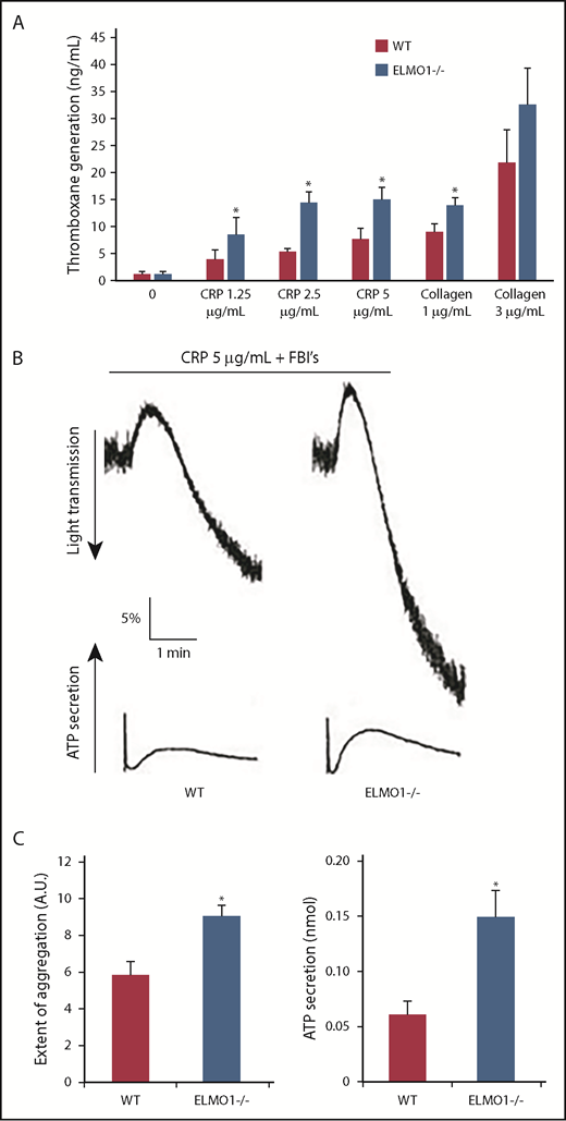 Figure 3. Enhanced thromboxane generation in response to GPVI agonists in ELMO1−/− platelets. (A) Washed murine platelets were activated with the indicated concentrations of CRP or collagen for 4 minutes, and the reaction was stopped via flash-freezing. Thromboxane B2 generation was determined using an ELISA kit as per the manufacturer’s instructions. Data are presented as mean ± SE of at least 3 independent experiments and were analyzed by Student t test (*P < .05). (B) Representative aggregation tracings and dense granule secretion of washed platelets from ELMO1−/− or WT littermate controls preincubated with the feedback inhibitors (FBI’s) 10 μM indomethacin, 10 μM MRS-2179, and 100 nM AR-C69931MX for 5 minutes and activated with indicated concentration of CRP for 3 minutes. (C) Quantitation of aggregation and ATP secretion showing the mean ± standard error of the mean and analyzed by Student t test (*P < .05).