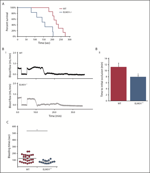 Figure 6. ELMO1 regulates thrombus formation and hemostasis in vivo. (A) Survival curves of WT and ELMO1−/− mice in a pulmonary thromboembolism model. Time to cessation of respiration was recorded after IV administration of 400 μg/kg collagen and 60 μg/kg epinephrine or phosphate-buffered saline. WT, n = 7; ELMO1−/−, n = 6. (B) Representative carotid artery blood flow tracings (i) and average time to occlusion (ii) from WT and ELMO1−/− mice. A carotid artery was isolated from the indicated mice and was exposed to 7.5% FeCl3 injury for 90 seconds. Data are presented as mean ± SE. WT, n = 12; ELMO1−/−, n = 14. Statistical analysis was performed using a Mann-Whitney U test (*P < .05). (C) Tail bleeding times of WT and ELMO1−/− mice. The distal 3 mm of the tail was cut, and the tail was immersed in 37°C saline. The time it took for bleeding to stop was recorded. WT, n = 38; ELMO1−/−, n = 18. Statistical analysis was performed using a Student t test (*P < .05).