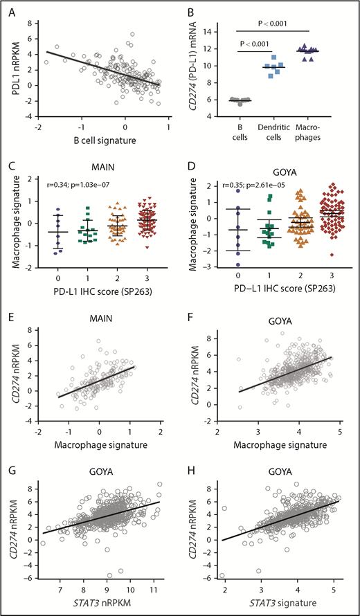 Figure 2. PD-L1 expression correlates with macrophage and STAT3 gene expression. (A) CD274 (PD-L1) mRNA expression inversely correlates with a B-cell gene signature among DLBCL patients treated in MAIN. (B) CD274 mRNA is highly expressed by purified DCs and macrophages compared with resting B cells. PD-L1 protein expression correlates with a macrophage gene signature among DLBCL patients treated in MAIN (C) and GOYA (D). CD274 mRNA correlates with a macrophage gene signature among DLBCL patients treated in MAIN (E) and GOYA (F). CD274 mRNA correlates with STAT3 gene expression (G) and a STAT3 gene signature (H) among DLBCL patients treated in GOYA.