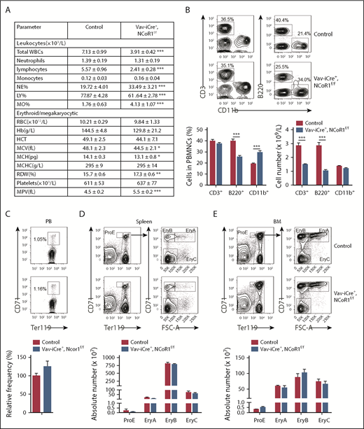 Figure 1. NCoR1 is essential for lymphoid differentiation but dispensable for erythropoiesis. (A) PB cell counts in 8-week-old control mice (n = 6) and Vav-iCre+, NCoR1f/f mice (n = 5) determined using a Hemavet 950FS analyzer (Drew Scientific). (B) Fluorescence-activated cell sorting (FACS) analysis of T cells (CD3+), B cells (B220+), and myeloid cells (CD11b+) in PB samples from control mice (n = 6) and Vav-iCre+, NCoR1f/f mice (n = 5). Representative FACS profiles (upper panel) and the relative frequency (lower left panel) and cell number (lower right panel) are shown. (C) FACS analysis of immature erythrocytes (CD71+Ter119+) in control and Vav-iCre+, NCoR1f/f (n = 6 per group) PB samples. Representative FACS profiles (upper panel) and the relative frequency (lower panel) are shown. FACS analysis of CD71/Ter119 erythroid subsets in spleen (D) and BM (E) from control and Vav-iCre+, NCoR1f/f mice (n = 5 per genotype). Representative FACS profiles (upper panels) and the absolute cell numbers of ProE (CD71highTer119intermediate), EryA (CD71highTer119highFSChigh), EryB (CD71highTer119highFSClow), and EryC (CD71lowTer119highFSClow) (lower panels) are shown. Data are mean ± standard error of the mean from 3 independent experiments. *P < .05, **P < .01, ***P < .001. Hb, hemoglobin; HCT, hematocrit; LY, lymphocyte; MCH, mean corpuscular hemoglobin; MCHC, mean cell hemoglobin concentration; MCV, mean corpuscular volume; MO, monocyte; MPV, mean platelet volume; NE, neutrophil; RDW, red cell distribution width.