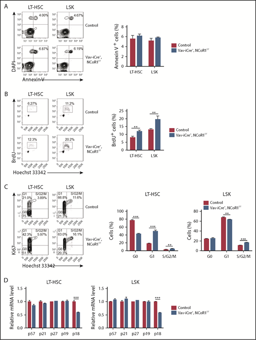 Figure 3. NCoR1 deficiency promotes HSC proliferation. (A) Apoptosis analysis of LT-HSCs and LSK cells in control and Vav-iCre+, NCoR1f/f mice (n = 6 per genotype). Representative FACS profiles (left panel) and the frequency of Annexin V+ cells (right panel) are shown. (B) Cell cycle analysis of LT-HSCs and LSK cells in control and Vav-iCre+, NCoR1f/f mice (n = 5 per genotype). Representative FACS profiles (left panel) and the frequency of BrdU+ cells (right panel) are shown. (C) Cell cycle analysis of LT-HSCs and LSK cells in control and Vav-iCre+, NCoR1f/f mice (n = 5 per genotype). Representative FACS profiles (left panel) and the frequency of cell cycle distribution (left and middle panels) are shown. (D) Real-time qPCR analysis of the expression of cycling-dependent kinase inhibitors genes (n = 3). mRNA levels were normalized to Gapdh expression. Data are mean ± standard error of the mean from 3 independent experiments. **P < .01, ***P < .001.