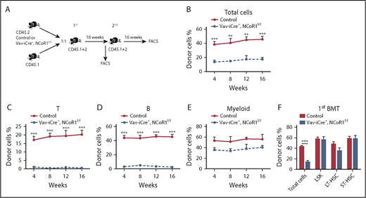 Figure 4. NCoR1 deficiency compromises the long-term lymphoid-repopulation capacity of HSCs. (A) Schematic diagram for serial competitive transplantation assay with control and Vav-iCre+, NCoR1f/f BM cells. (B) Percentage of donor-derived cells (total cells) in PB of primary recipient mice (n = 5 per group) at the indicated time points. Percentage of donor-derived T (CD3+) cells (C), B (B220+) cells (D), and myeloid (CD11b+) cells (E) in the PB of recipient animals (n = 5 per group) at the indicated time points. (F) Percentage of donor-derived cells (total cells, LSK cells, LT-HSCs, and ST-HSCs) in BM of primary recipient mice (n = 5 per group) 16 weeks after transplantation. Data are mean ± standard error of the mean from 3 independent experiments. **P < .01, ***P < .001. 1st, first competitive transplantation; 2nd, second competitive transplantation.