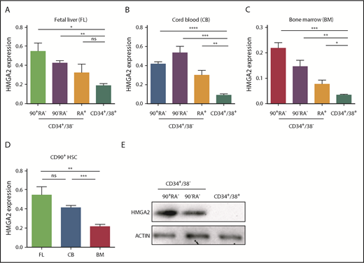 Figure 1. Preferential expression of HMGA2 within the primitive compartment of human hematopoietic cells. (A-C) HMGA2 expression measured by quantitative PCR in FACS-purified populations, HSCs (CD34+CD38−CD45RA−CD90+), MPPs (CD34+CD38−CD45RA−CD90−), MLP (CD34+CD38−CD45RA+CD90−), and committed progenitors (CP; CD34+CD38+) obtained from fetal liver (FL) (A), CB (B), and adult BM (C). (D) Relative expression of HMGA2 mRNA in purified HSCs from different developmental sources. (E) HMGA2 protein expression was assessed by western blot in FACS-purified CB populations. *P < .05; **P < .01; ***P < .001; ****P < .0001. ns, not significant.