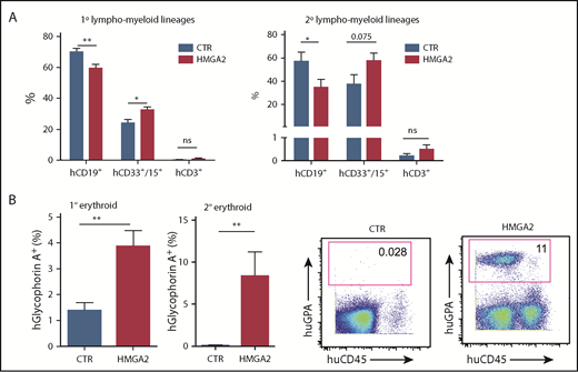 Figure 5. HMGA2 overexpression in CB CD34+ leads to altered hematopoietic differentiation. (A) Distribution of hematopoietic lineages as measured by expression of CD15/CD33, CD19, and CD3 within the engrafted human CD45+ZsGreen+ in primary and secondary recipient mice. (B) Frequency of GlyA+ cells in the BM of primary and secondary recipients. Representative FACS plots for GlyA+ cells in the BM of secondary recipients are shown to the right. *P < .05; **P < .01.