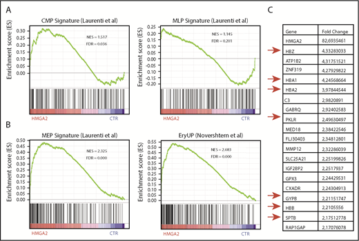 Figure 6. HMGA2-overexpressing HSPCs show gene-expression signatures associated with myeloerythroid differentiation. (A-B) GSEA to identify gene sets enriched or depleted in HMGA2-overexpressing CD34+ cells compared with controls. GSEA plots were generated using population-specific gene signatures described in previous studies for human hematopoietic cells. (C) Top 20 upregulated genes in HMGA2-overexpressing cells. CMP, common myeloid progenitor; EryUP, erythroid upregulated; FDR, false discovery rate; NES, normalized enrichment score.